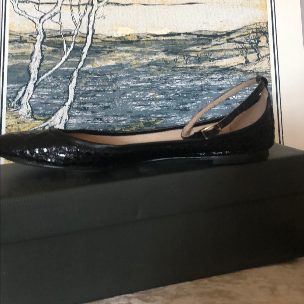 Lizard flats